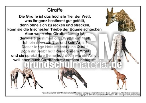 Giraffe.pdf